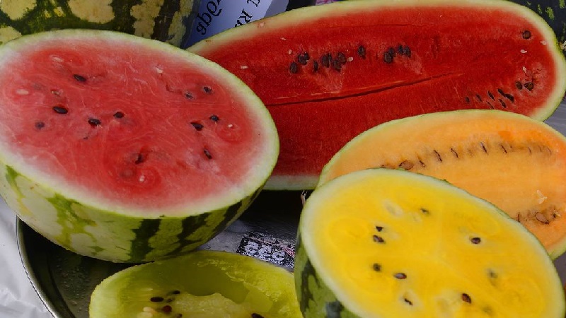 Die köstlichsten Sorten von Wassermelonen: Beschreibung und Eigenschaften