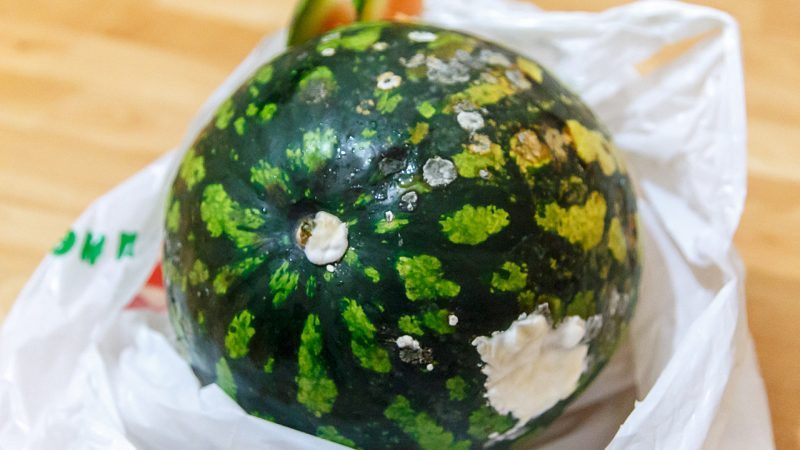 Wir bewahren die Wassermelone bis zum Neujahr zu Hause auf