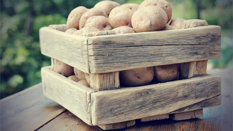 Wie man eine Schachtel zum Aufbewahren von Kartoffeln mit eigenen Händen macht