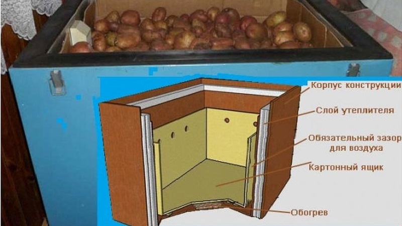 Wie man Kartoffeln im Kühlschrank aufbewahrt und ist das möglich