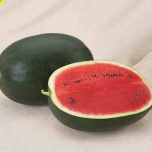 Wie man eine Wassermelone bis zum neuen Jahr im Keller hält - 7 beste Möglichkeiten