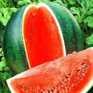 Wie man eine Wassermelone bis zum neuen Jahr im Keller hält - 7 beste Möglichkeiten