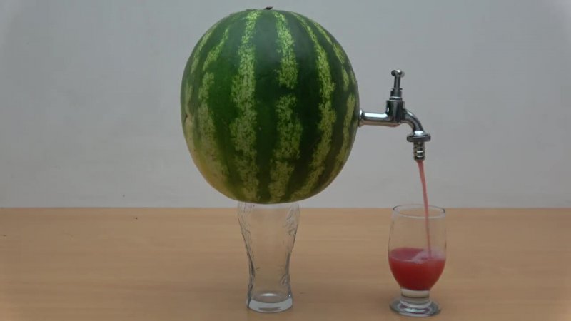 Ist es möglich, überreife Wassermelone zu essen und was daraus zu kochen ist?