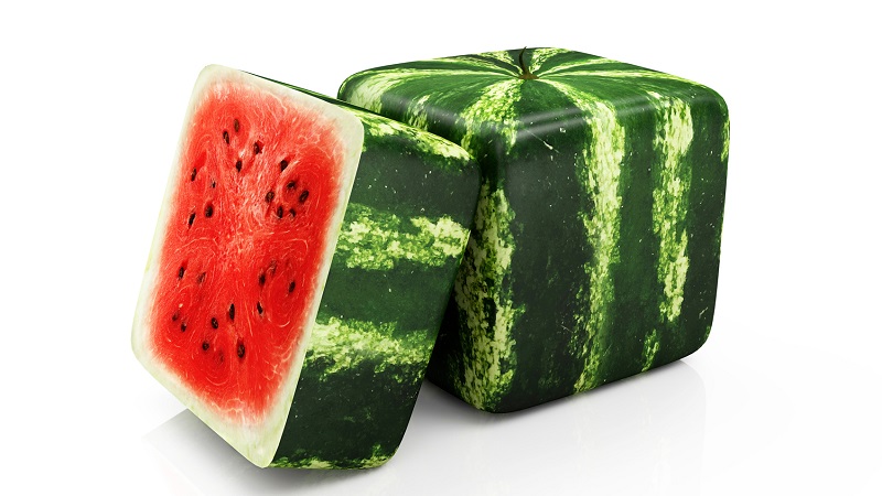 Gibt es quadratische Wassermelonen und wie können Sie selbst eine so ungewöhnliche Ernte anbauen?