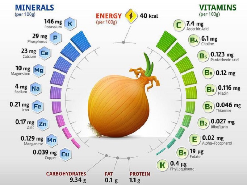 Was ist in Zwiebeln enthalten: welche Vitamine und Mineralien