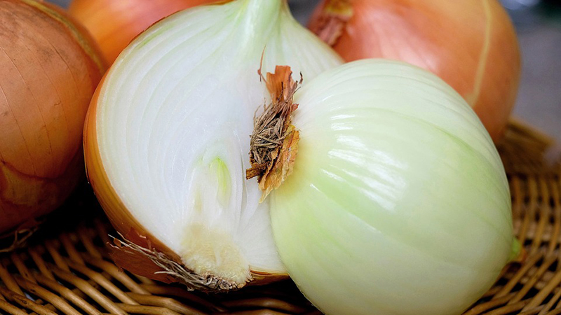 Wie man Zwiebeln richtig isst: tägliche Verzehrsraten, Nutzen und Schaden, Kontraindikationen