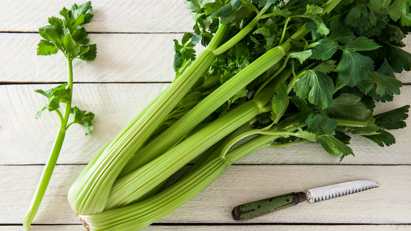 How to grow and use stalked celery for maximum health benefits