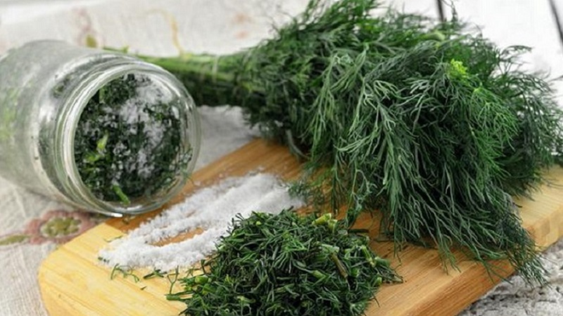 Die besten Rezepte für die Zubereitung von Dill für den Winter