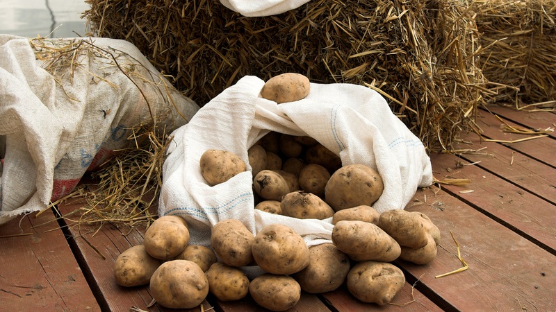 Haushaltslagermethoden für Kartoffeln