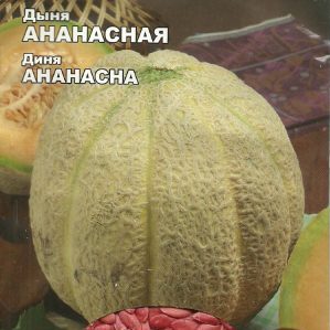 Beschreibung und Eigenschaften der mit Ananas gekreuzten Melone: ​​Wie schmeckt die Mini-Frucht?