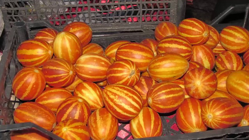 Beschreibung und Eigenschaften der mit Ananas gekreuzten Melone: ​​Wie schmeckt die Mini-Frucht?