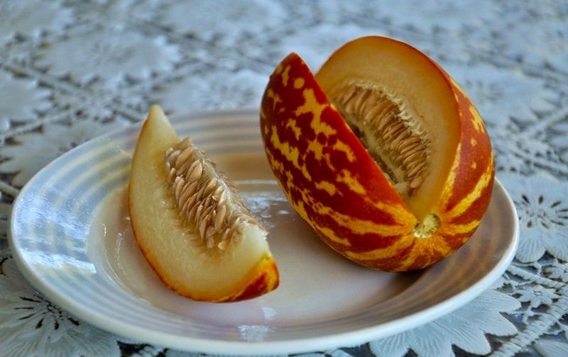 Beschreibung und Eigenschaften der mit Ananas gekreuzten Melone: ​​Wie schmeckt die Mini-Frucht?