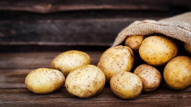 Merkmale der Lagerung von Kartoffeln: Bei welcher Temperatur gefriert es