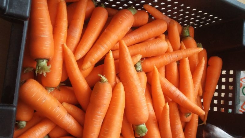 What to do if the carrots are not sweet or juicy and why this happens