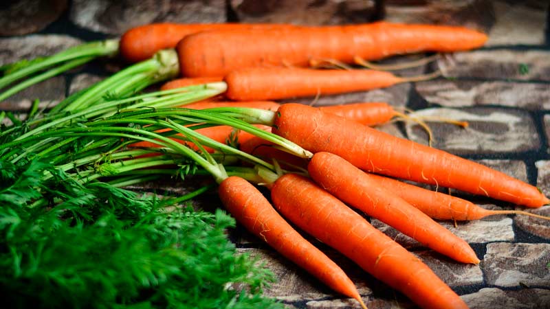 What to do if the carrots are not sweet or juicy and why this happens