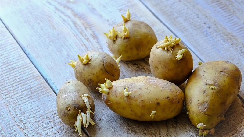 Gekeimte Kartoffeln: Was tun und damit essen?