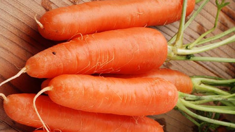 Eine mittelfrühe Karottensorte mit hohem Carotingehalt: Kinder süß