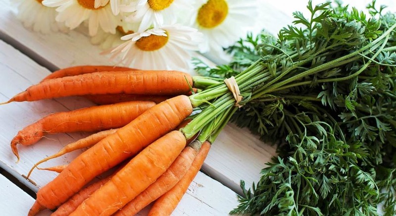 Geheimnisse für das richtige Essen von Karotten zur besseren Absorption