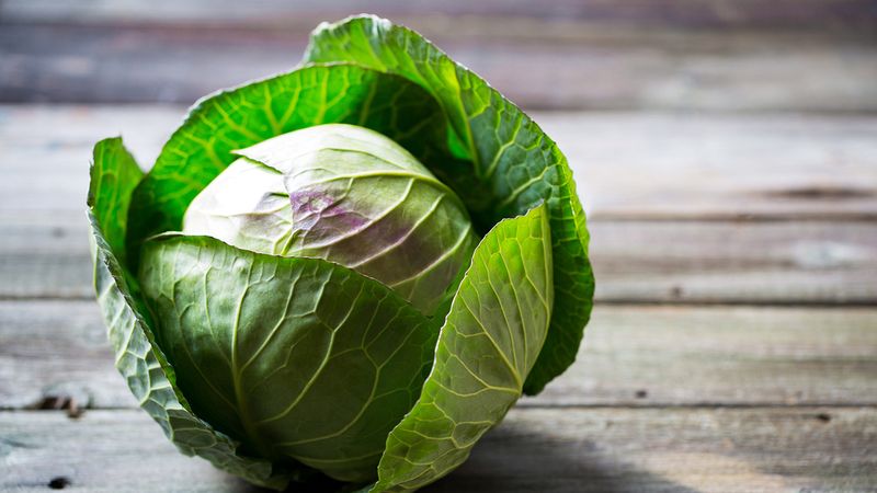 So fermentieren Sie Kohl richtig mit Kohl: Schritt für Schritt Anleitung und Rezeptoptionen