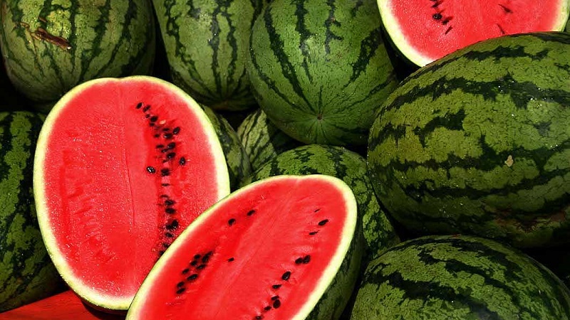 Was ist eine Wassermelone: ​​Zu welcher Familie gehören die Früchte, was sind sie und wie sind sie nützlich?