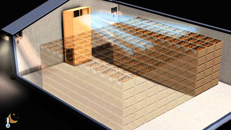 Die Nuancen der Lagerung von Kartoffeln in einem Gemüseladen: Wie schafft man optimale Bedingungen für die Ernte?