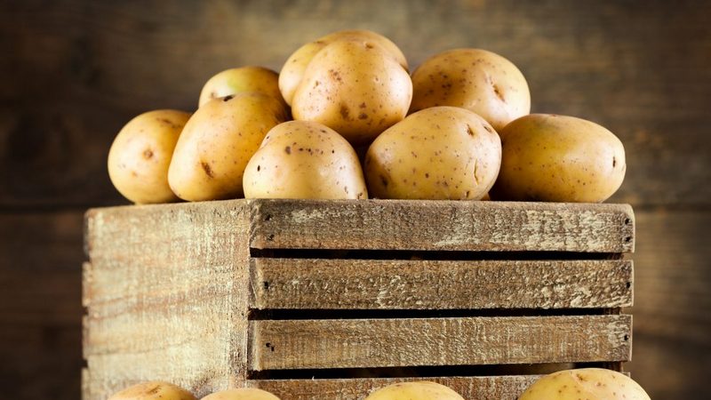 Ist es möglich, Kartoffeln im Winter auf dem Balkon zu lagern und wie man es richtig macht?