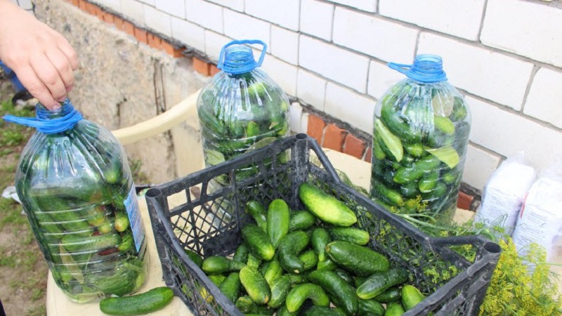 Wie Gurken in einer 5-Liter-Plastikflasche eingelegt werden: Zubereitung, Zubereitung und Lagerung