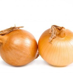 High Yielding Onion Hybrid mit erstaunlichem Geschmack - Centurion