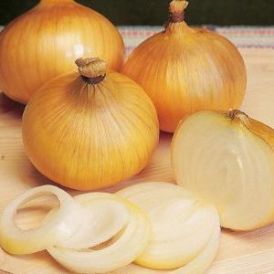 High Yielding Onion Hybrid mit erstaunlichem Geschmack - Centurion