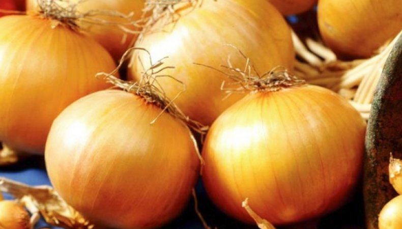 High Yielding Onion Hybrid mit erstaunlichem Geschmack - Centurion