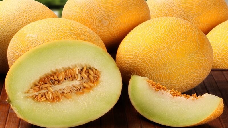 Die Vor- und Nachteile von Melonen für die Gesundheit der Leber