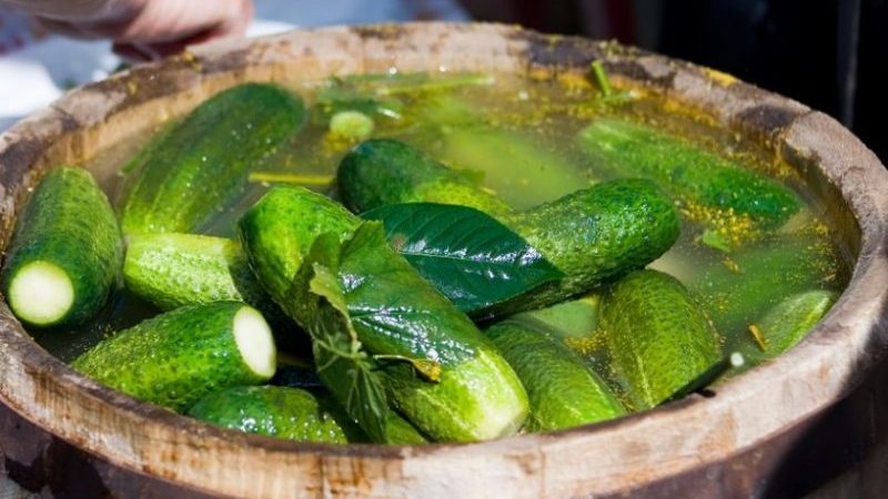 Schritt-für-Schritt-Anleitung zum Salzen von Gurken in einem Fass