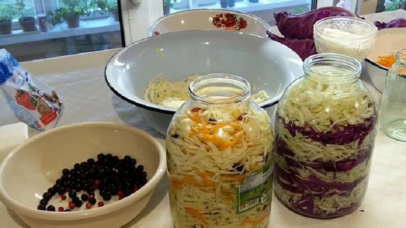 Rezepte für leckeres Sauerkraut in 3-Liter-Gläsern für den Winter und Empfehlungen für die Aufbewahrung von Snacks