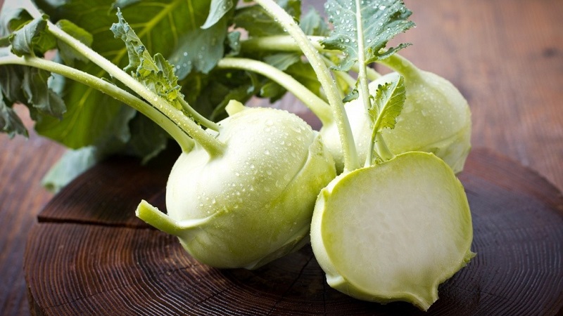 Köstliche Do-it-yourself-Zubereitungen: Rezepte zum Kochen von Kohlrabi-Kohl für den Winter