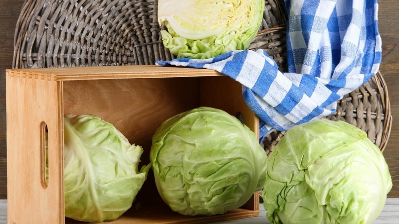 Wo und wie man frischen Kohl zu Hause in einer Wohnung aufbewahrt