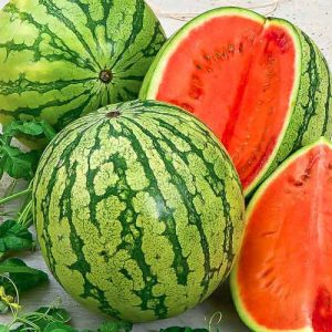 Warum Astrachan-Wassermelone gut ist und warum Bauern sie so lieben