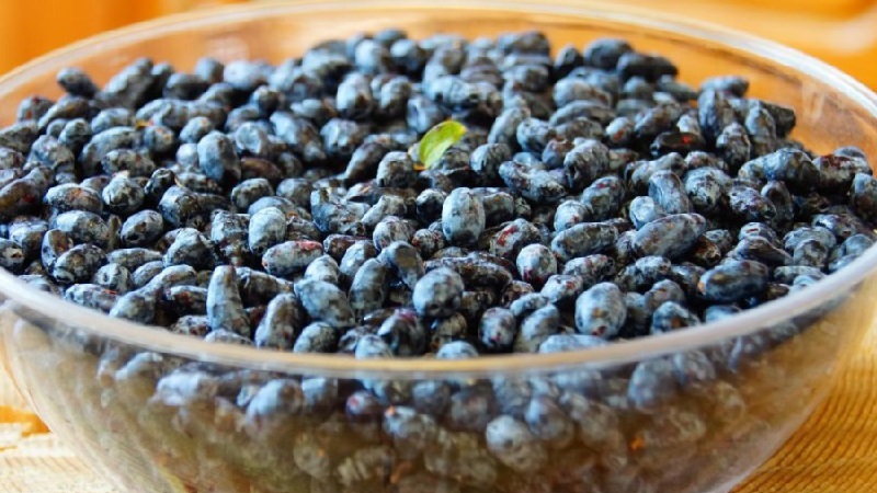 Wie man Geißblatt für den Winter als Saft, Püree oder ganze Beeren einfriert