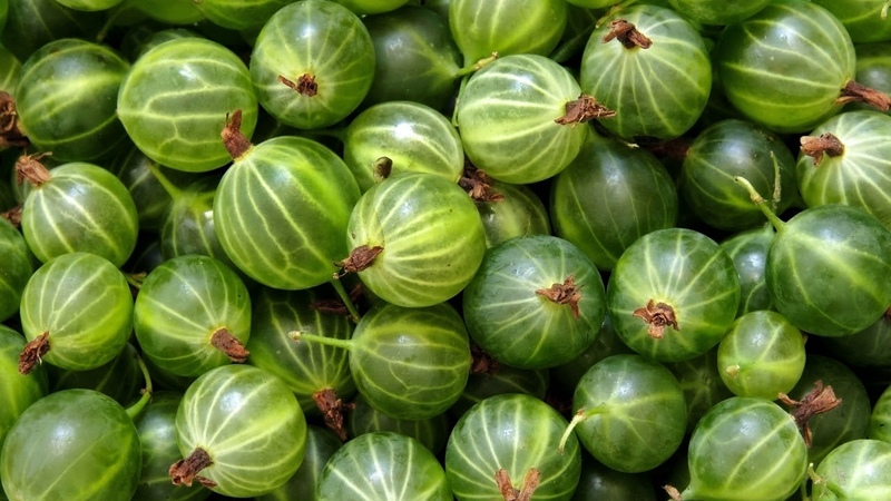 Wie man Stachelbeeren für den Winter im Gefrierschrank richtig einfriert: die besten Möglichkeiten