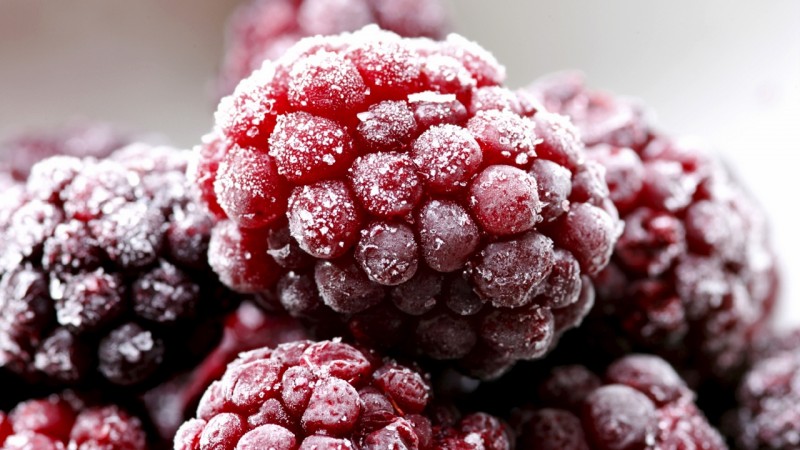 Die besten Möglichkeiten, Himbeeren für den Winter richtig einzufrieren