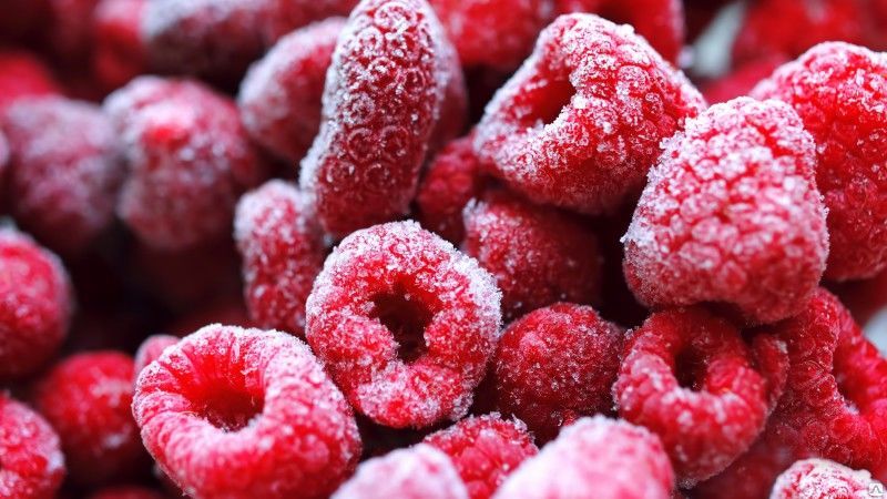 Die besten Möglichkeiten, Himbeeren für den Winter richtig einzufrieren