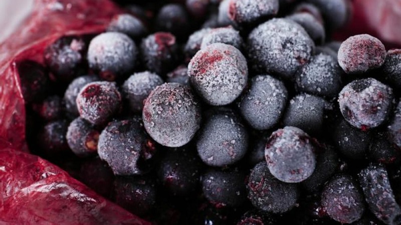 Die besten Möglichkeiten, schwarze Johannisbeeren für den Winter im Gefrierschrank einzufrieren