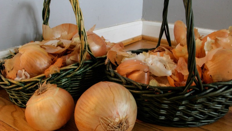 Die Verwendung von Zwiebelschalen für den Garten und Gemüsegarten