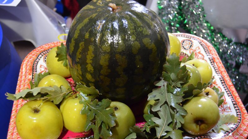 Das klassische Rezept für Wassermelonen, die zu Hause in einem Fass eingeweicht wurden, und verschiedene Optionen für Zusatzstoffe