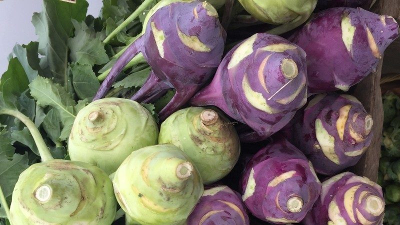 Wie heißt der Kohl, der wie eine Rübe aussieht?