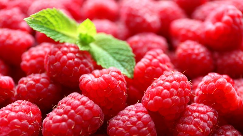 Himbeeren: vorteilhafte Eigenschaften von Beeren und mögliche Schäden