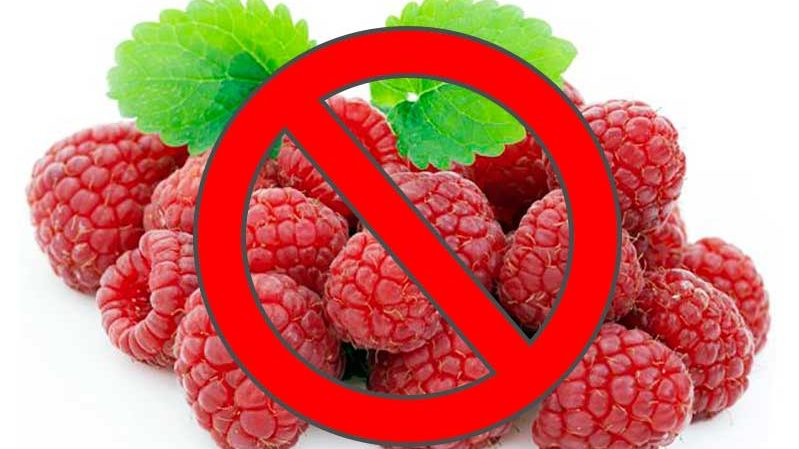 Himbeeren: vorteilhafte Eigenschaften von Beeren und mögliche Schäden