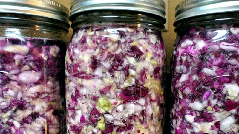 Eine Auswahl sehr leckerer Rezepte für Rotkohl für den Winter im Glas