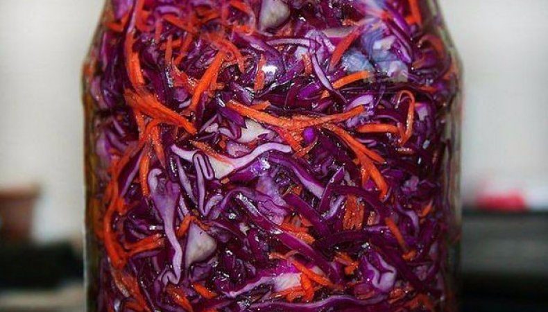 Eine Auswahl sehr leckerer Rezepte für Rotkohl für den Winter im Glas