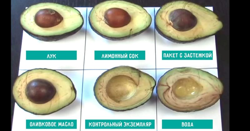 So lagern Sie eine geschnittene Avocado richtig