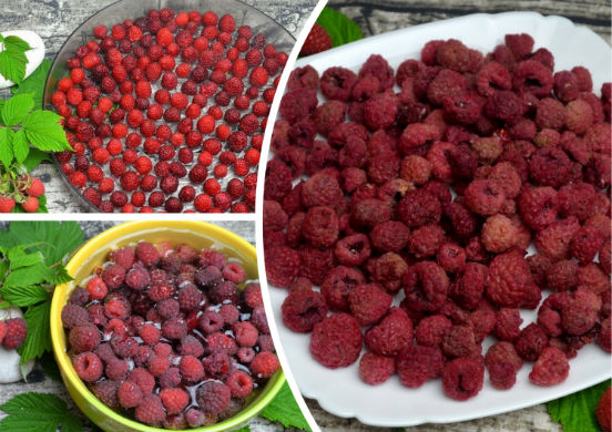 Wie man Himbeeren zu Hause trocknet